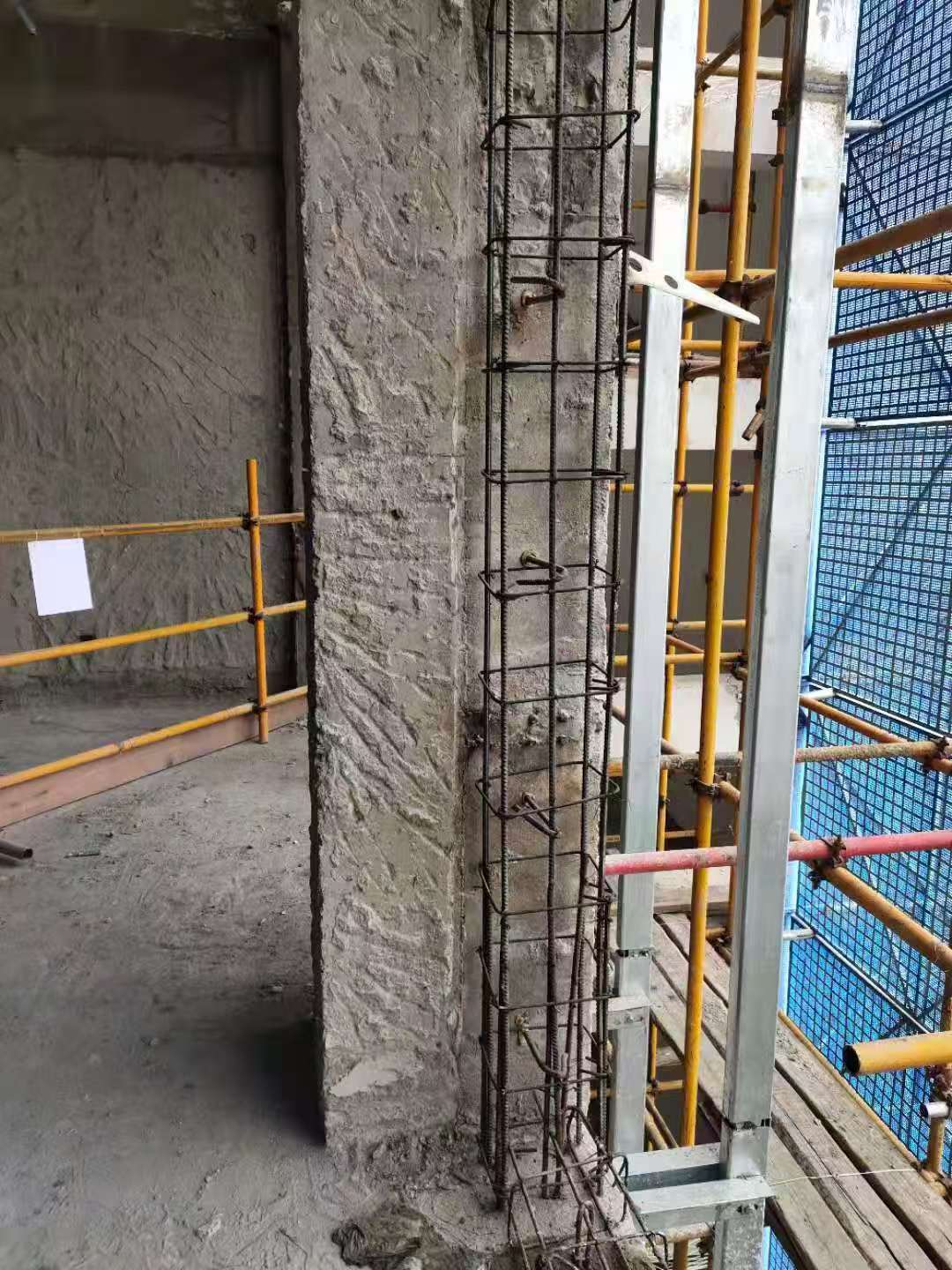 1736758741630192.jpg 1.jpg
